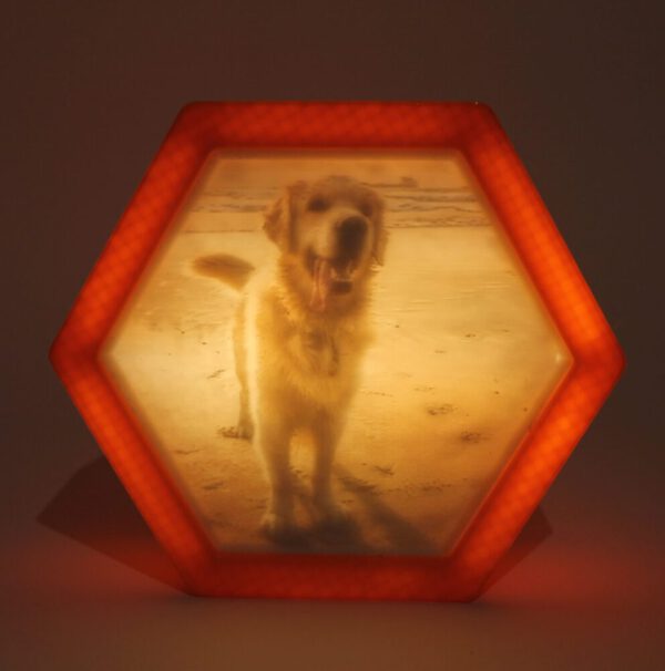 3D-Foto in der Wabe