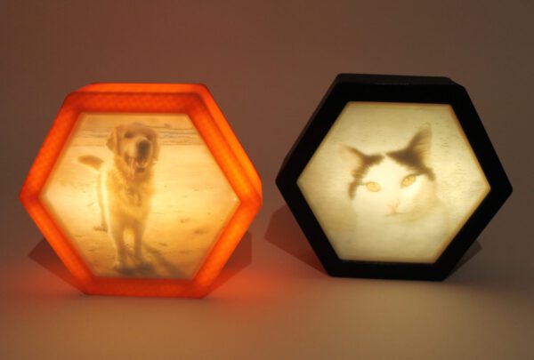 3D-Foto in der Wabe – Bild 2